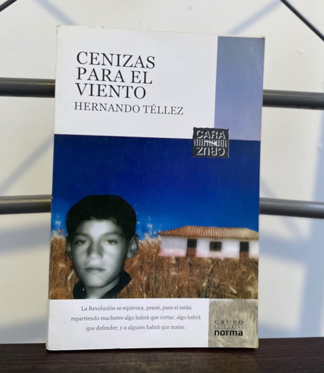 Cenizas para el viento