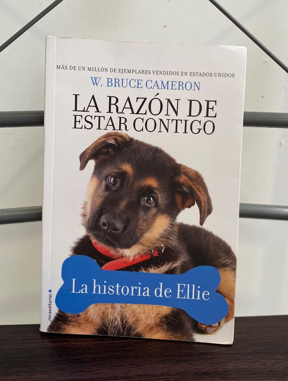 La razón de estar contigo - La historia de Ellie
