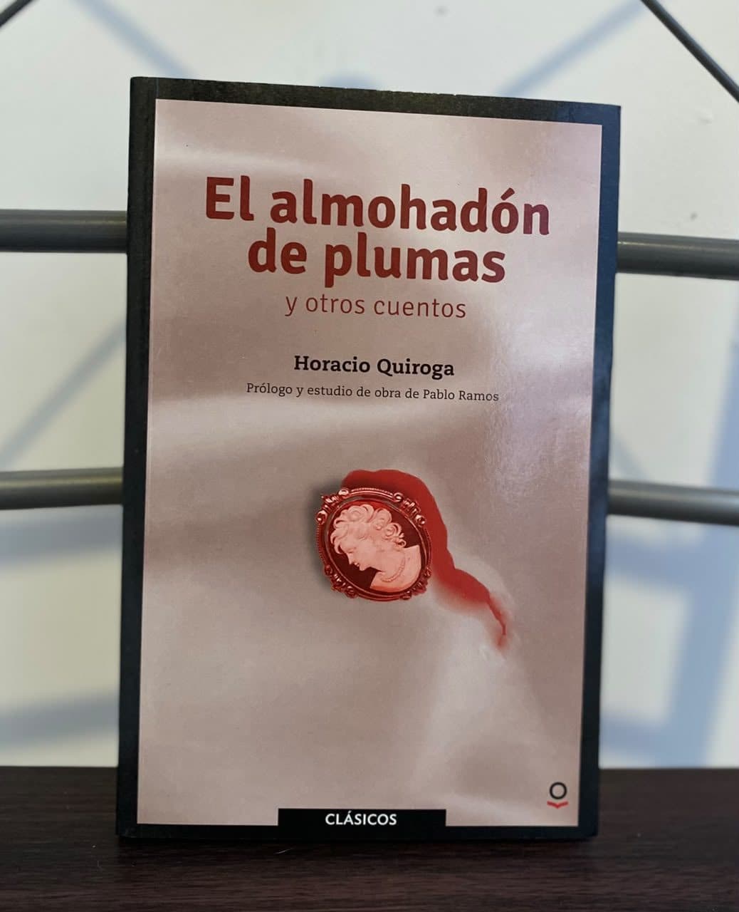 El almohadón de plumas y otros cuentos